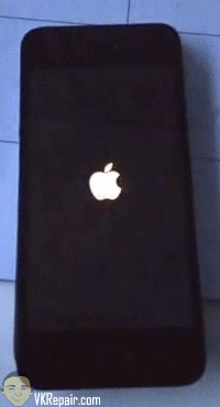 iPhone 5S blue screen