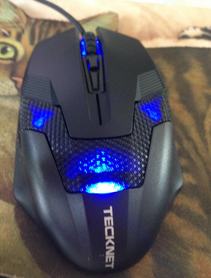 TeckNet Raptor Gaming Mouse, 2000 DPI, 6 Button, Extra Weight