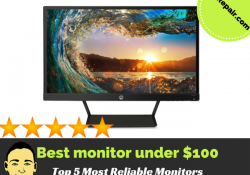best monitor under 100
