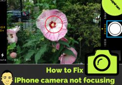 iPhone camera not focusing