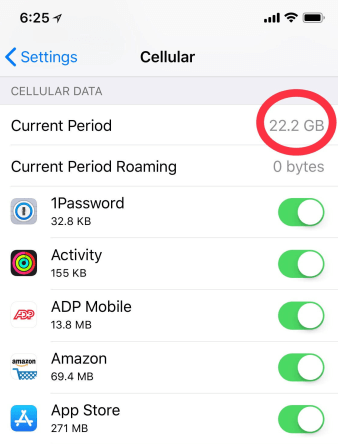 cellular-data-current-period-iphone