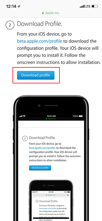 download-profile-ios-11.3-beta